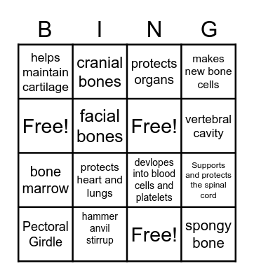 Skeletal System Bingo Card