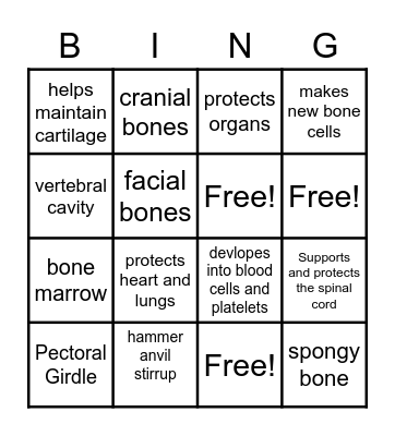 Skeletal System Bingo Card
