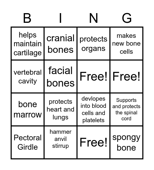 Skeletal System Bingo Card