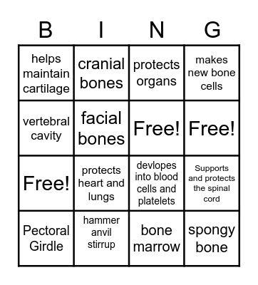 Skeletal System Bingo Card