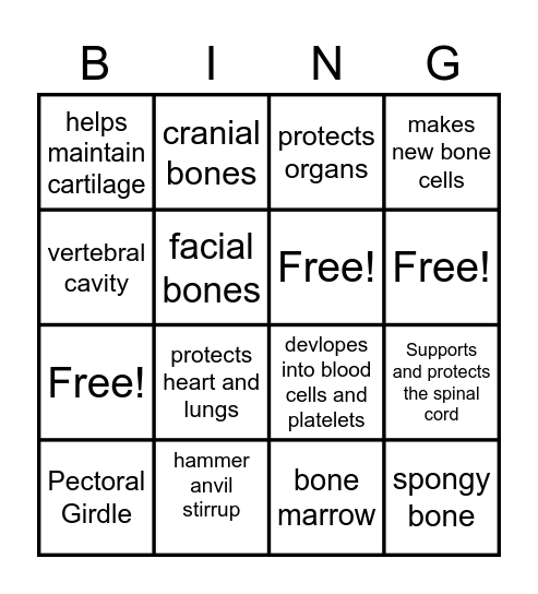 Skeletal System Bingo Card