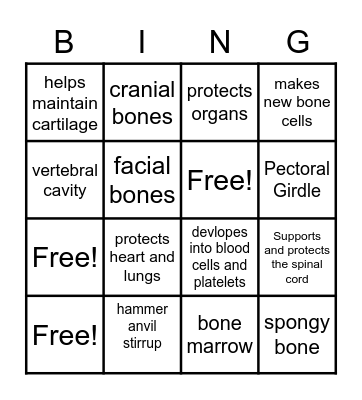 Skeletal System Bingo Card