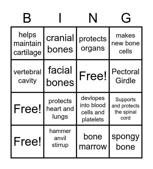 Skeletal System Bingo Card