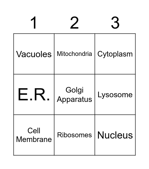 Animal Cell Organelles Bingo Card