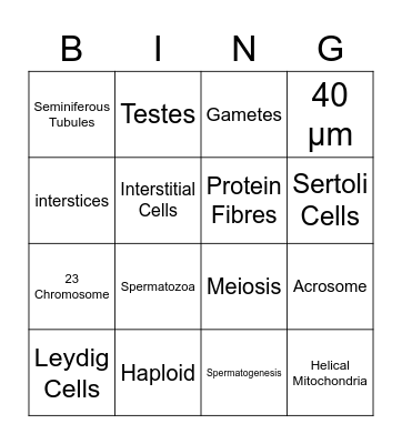 Sperm Bingo Card