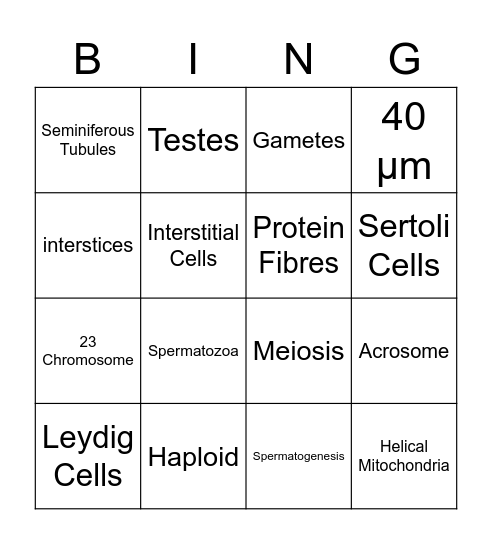 Sperm Bingo Card