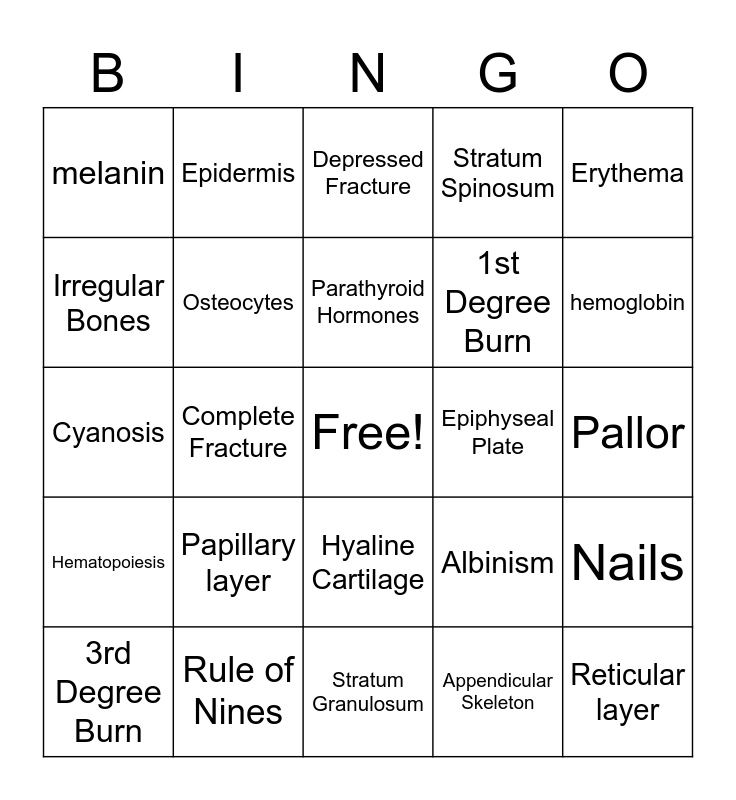 Overview of Chapter 5 and 6 Bingo Card