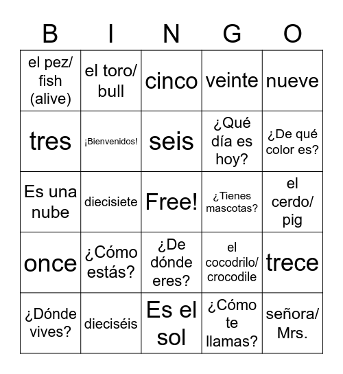 Numbers 1-20 and basic questions Bingo Card