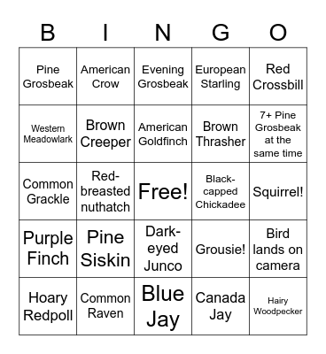 Ontario FeederWatch Bingo Card