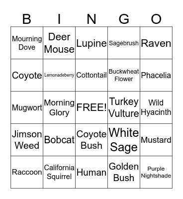 Crystal Cove Animals and Plants Bingo Card
