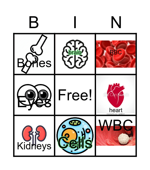 PE1 Bingo Card