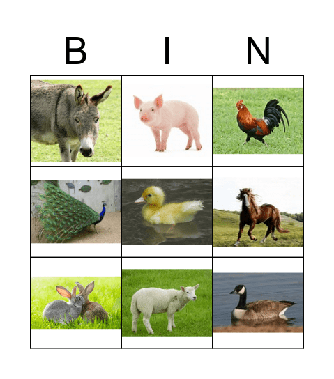 Bingo boerderijdieren Bingo Card