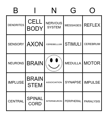 NERVOUS SYSTEM Bingo Card