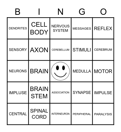NERVOUS SYSTEM Bingo Card