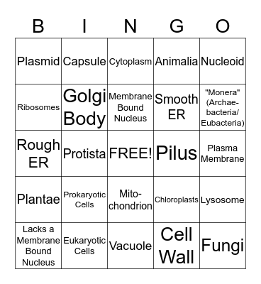 Cell Structure and Function Bingo Card