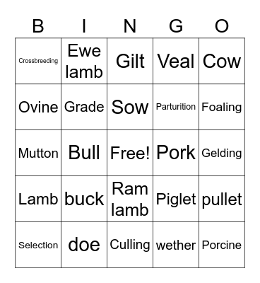 Animal Terminology Bingo Card