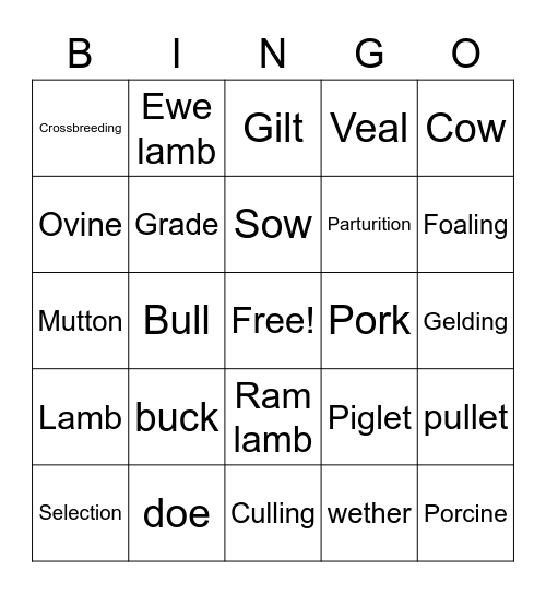 Animal Terminology Bingo Card