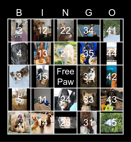 Pawty BINGO Card