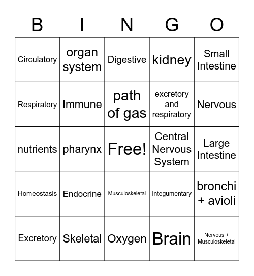 Body Systems Bingo Card