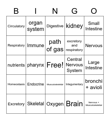 Body Systems Bingo Card