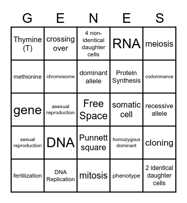 Reproduction & Genetics Bingo Card