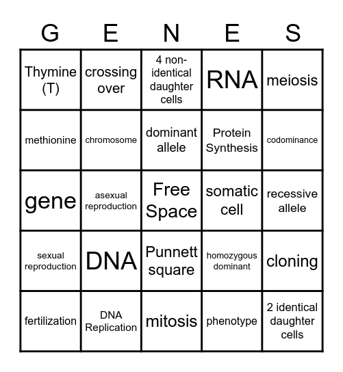 Reproduction & Genetics Bingo Card