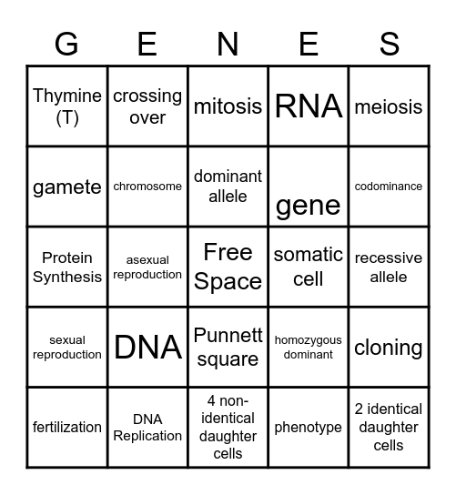 Reproduction & Genetics Bingo Card