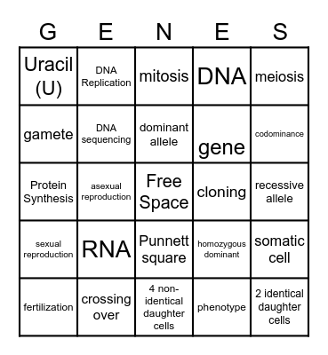 Reproduction & Genetics Bingo Card