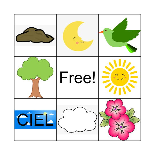 Environment Bingo Card