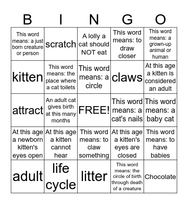 Kitten Vocabulary Words Bingo Card