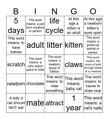 All about Cats vocabulary words Bingo Card