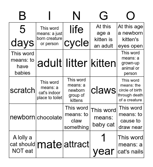 All about Cats vocabulary words Bingo Card