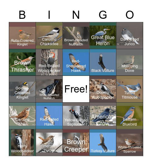 Birding Bingo! Bingo Card