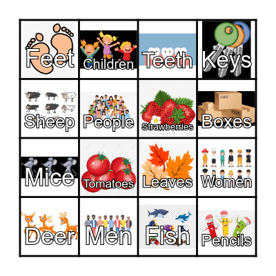 Singular and Plural Nouns Bingo Card