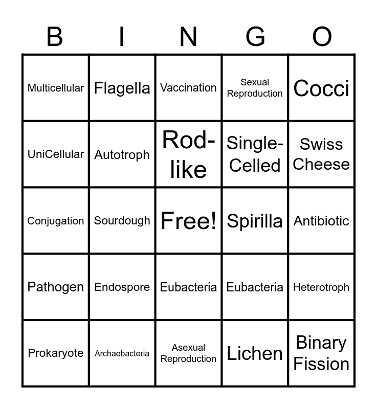 BACTERIA BINGO Card