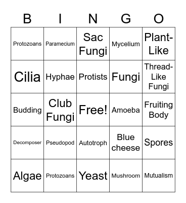 PROTIST AND FUNGI Bingo Card