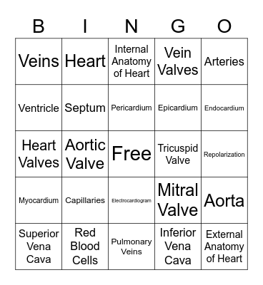 Anatomy Bingo Card