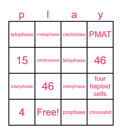 Two Step Inequalities Bingo Card