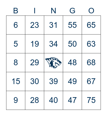 Number Bingo 1-75 Bingo Card