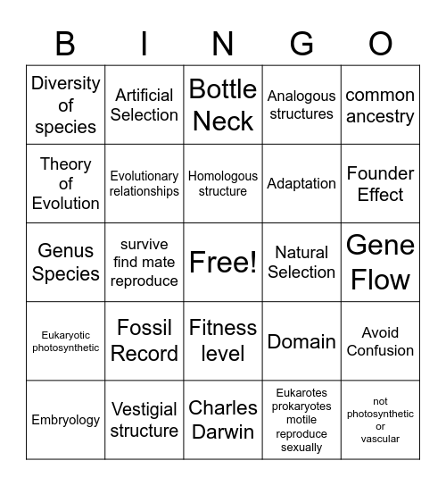 DCA 5 Review Bingo Card