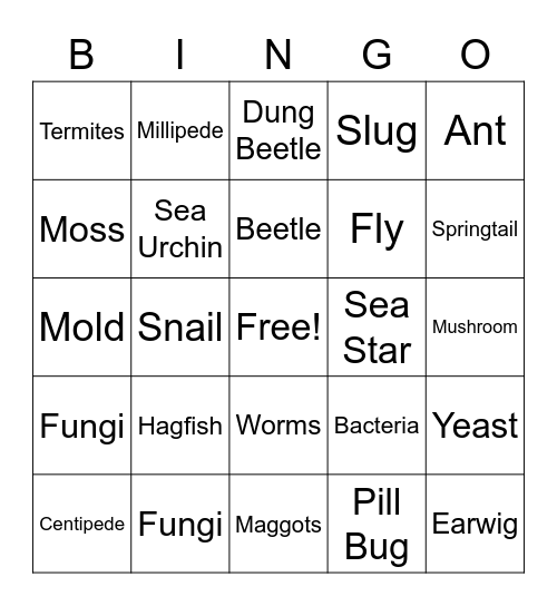 Decomposer bingo Card