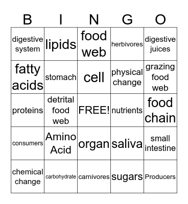 7.6 B Physical and Chemical Changed Bingo Card