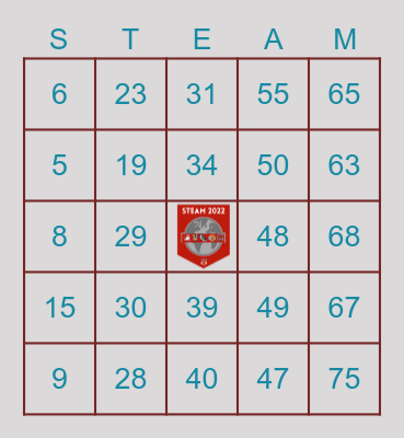 STEAM DAY BINGO 2022 Bingo Card
