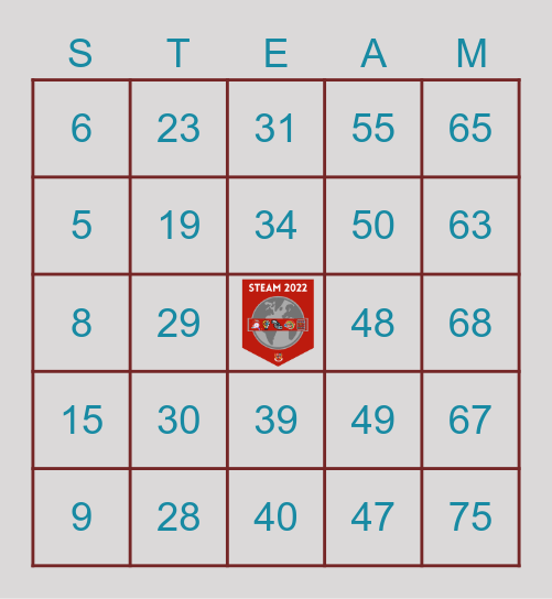 STEAM DAY BINGO 2022 Bingo Card