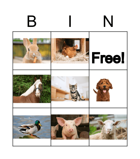 ANIMALS Bingo Card