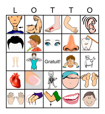 les parties du corps Bingo Card