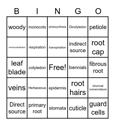 Plant Parts and Classes Bingo Card