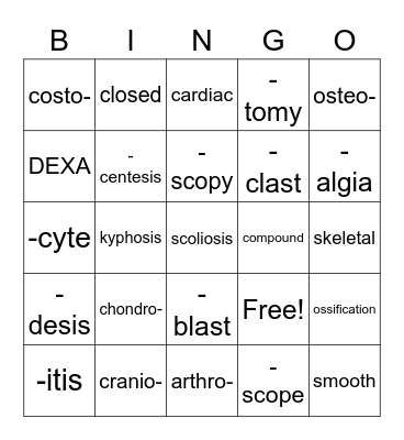Musculoskeletal System Bingo Card