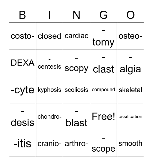 Musculoskeletal System Bingo Card