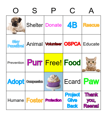 Jordan's  Bingo Card